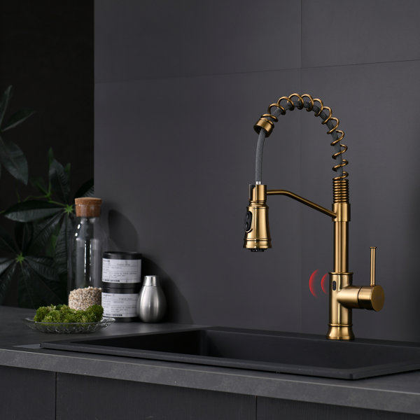 FLG Pull Down Touchless Kitchen Faucet Wayfair